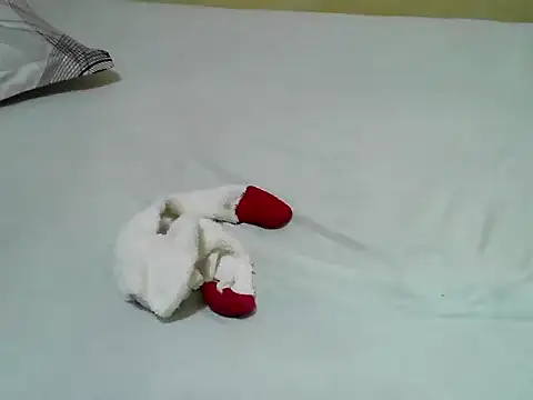 Quincy joyy online show from March 2026 11:50:01 AM