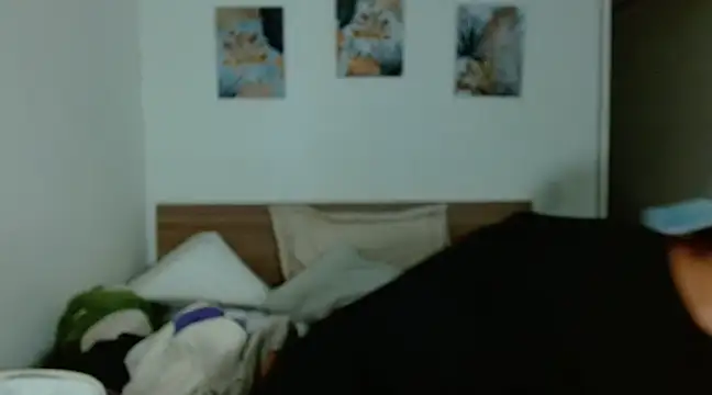 Baltazar Dupont online show from January 2025 09:47:02 PM