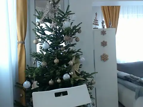 Snapshot of GoldenMark chatting on December 2024 12:05:01 PM GoldenMark online show from December 2024 12:05:01 PM