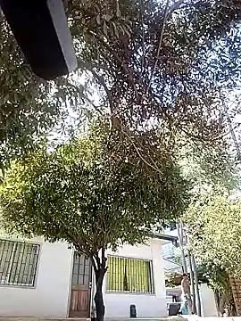 Snapshot of mikythompson chatting on February 2025 04:04:01 PM mikythompson online show from February 2025 04:04:01 PM