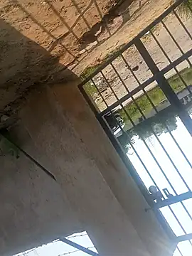 Snapshot of rjxraj chatting on October 2025 04:34:02 AM rjxraj online show from October 2025 04:34:02 AM