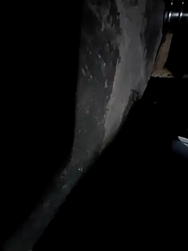 Snapshot of sandip-bhai chatting on December 2024 07:02:02 PM sandip-bhai online show from December 2024 07:02:02 PM