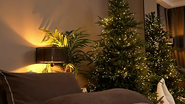 Snapshot of _keeti_ chatting on November 2025 06:12:01 PM keeti online show from November 2025 06:12:01 PM