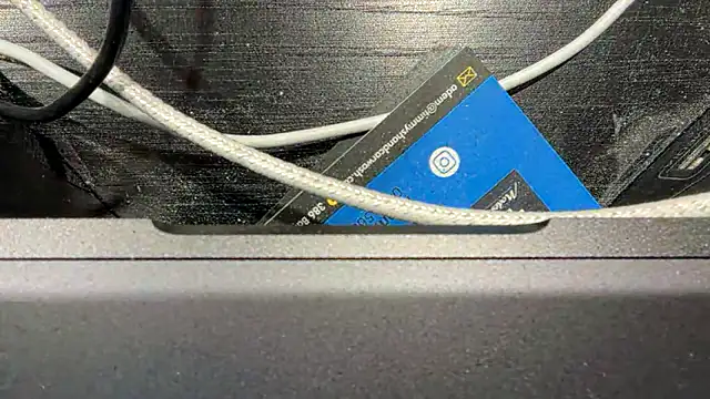 Snapshot of TinyTraps chatting on December 2024 02:11:02 PM TinyTraps online show from December 2024 02:11:02 PM