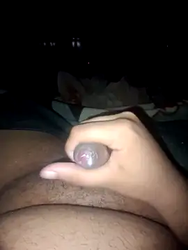 Snapshot of Zenfox24 chatting on September 2025 03:29:01 AM Zenfox24 online show from September 2025 03:29:01 AM