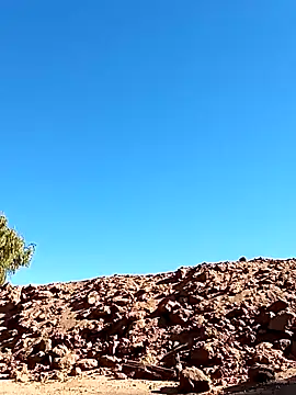 luke thighwalker2469 online show from January 2025 08:48:01 PM