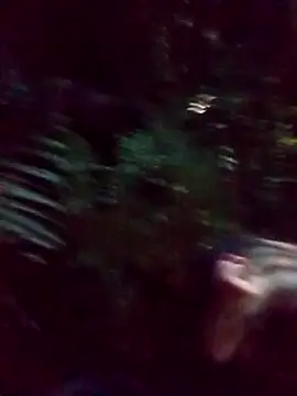 mis312 online show from March 2025 02:36:01 AM