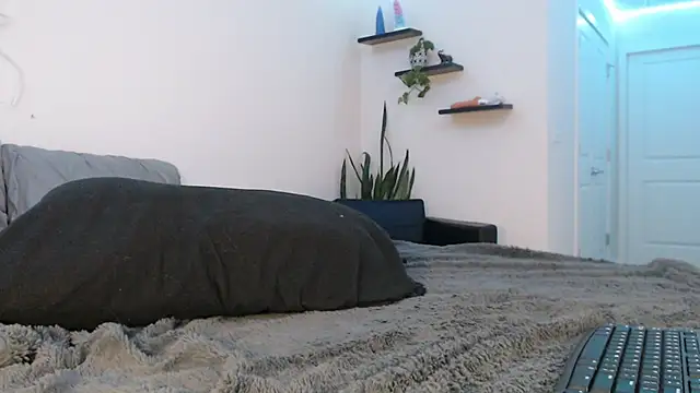 Snapshot of fallongrayxo chatting on March 2025 11:28:02 PM fallongrayxo online show from March 2025 11:28:02 PM