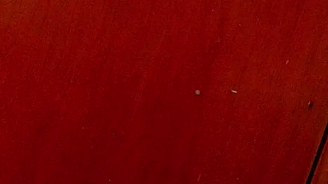 anisha x online show from October 2025 07:12:02 PM