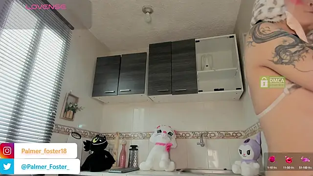 Snapshot of Palmer-Foster chatting on September 2025 09:03:02 PM Palmer-Foster online show from September 2025 09:03:02 PM