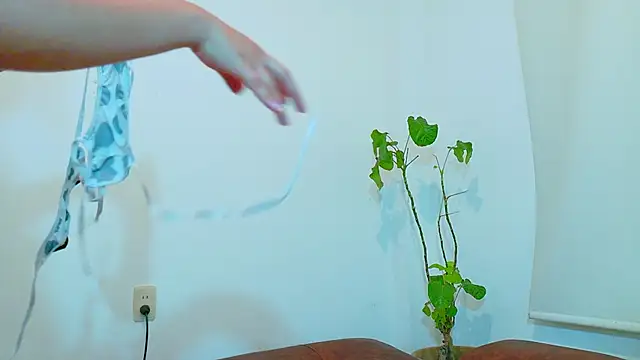 clydexxxbunny online show from December 2024 06:48:01 PM