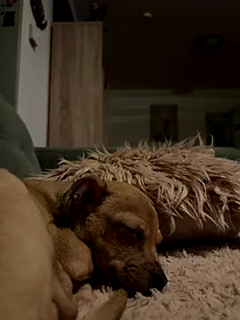 Snapshot of mecbxl25 chatting on November 2025 05:38:01 PM mecbxl25 online show from November 2025 05:38:01 PM