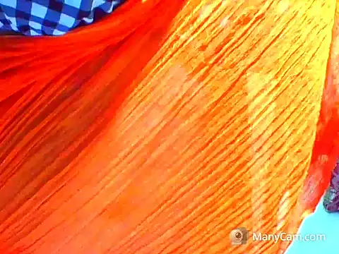 Snapshot of desi_diva chatting on June 2026 05:02:02 AM desi diva online show from June 2026 05:02:02 AM