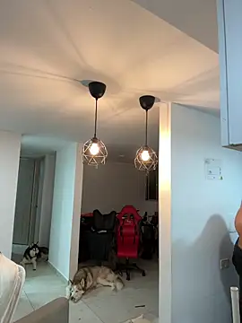 thomas gun online show from December 2025 12:41:01 AM