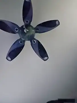 Snapshot of honeymex chatting on September 2025 10:56:02 PM honeymex online show from September 2025 10:56:02 PM