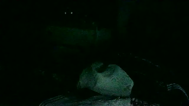 Snapshot of DI4MOND_FIR3 chatting on November 2025 10:41:02 AM DI4MOND FIR3 online show from November 2025 10:41:02 AM