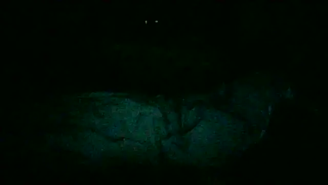 Snapshot of DI4MOND_FIR3 chatting on November 2025 12:24:01 AM DI4MOND FIR3 online show from November 2025 12:24:01 AM