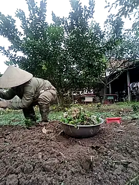 Fuckmehard2xx online show from February 2025 02:51:02 AM