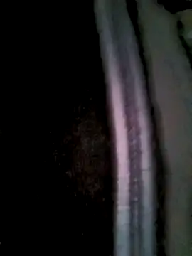 Fuckmehard2xx online show from March 2025 09:42:01 AM