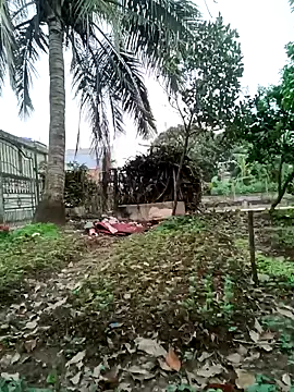 Fuckmehard2xx online show from March 2025 09:24:02 AM