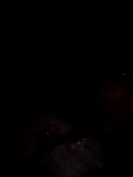 FeltedEuropium online show from February 2025 10:20:02 PM