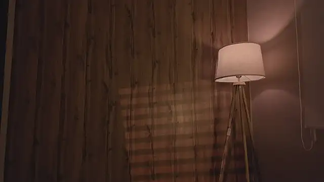 MariMaddison online show from November 2025 08:09:01 PM