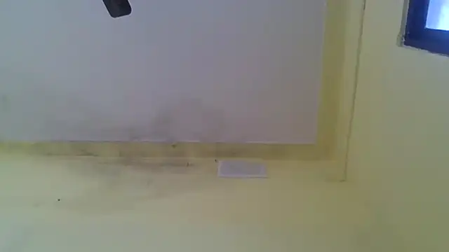 Snapshot of Nitya-Mahesh chatting on January 2025 09:24:02 AM Nitya-Mahesh online show from January 2025 09:24:02 AM