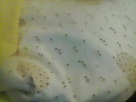 Snapshot of Bigpenis6y chatting on January 2025 05:21:01 AM Bigpenis6y online show from January 2025 05:21:01 AM