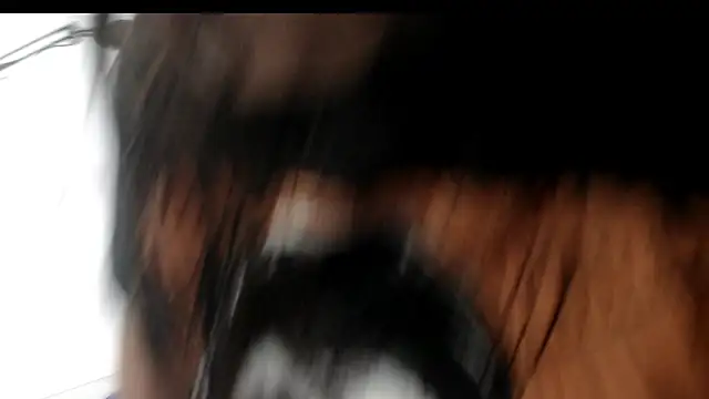 evaleribigtits18 online show from November 2025 07:13:01 PM