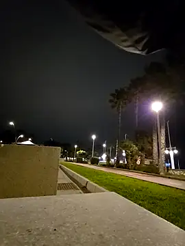 charlye inkkkk online show from February 2026 11:39:01 PM