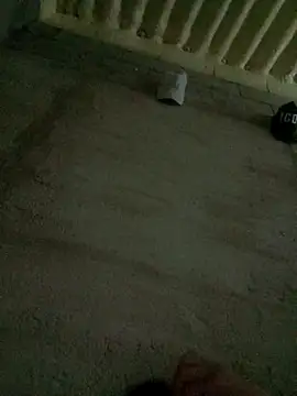 Ariatrans online show from September 2025 11:08:01 PM