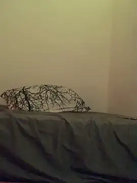 Snapshot of Marielasanchez chatting on February 2025 03:36:02 AM Marielasanchez online show from February 2025 03:36:02 AM