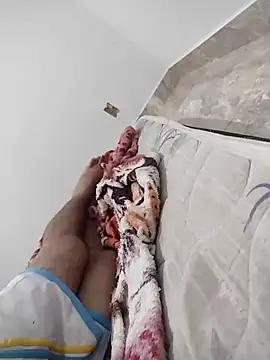 lm279 online show from February 2025 10:49:02 PM