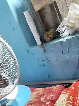 Natasha-In69 online show from February 2025 10:43:01 PM