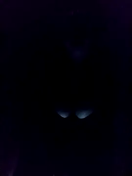 Romayssae Ali-Arabic online show from December 2024 12:24:01 AM