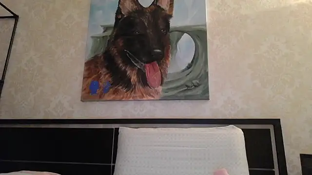 Kashtanka  online show from February 2025 06:01:02 PM