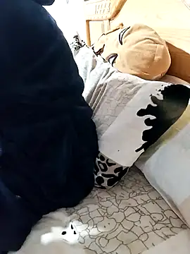 jijijoudia online show from January 2025 11:43:01 AM