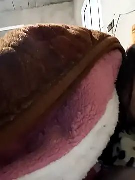 jijijoudia online show from January 2025 12:37:01 PM