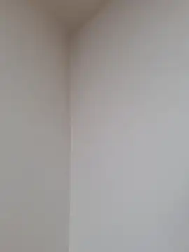 D vid99 online show from November 2025 02:06:02 PM