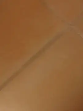 Snapshot of sexyboy96960 chatting on January 2025 12:23:02 AM sexyboy96960 online show from January 2025 12:23:02 AM