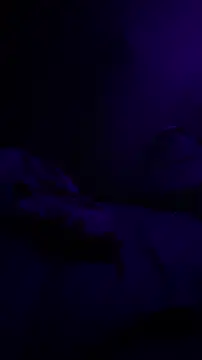 BigMac1596 online show from November 2025 03:25:02 PM