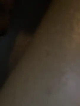 HBYAM online show from December 2024 06:38:01 PM