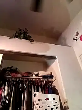 HBYAM online show from March 2025 03:20:02 PM