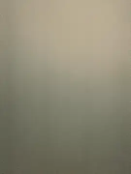 Dalton oficial online show from December 2025 02:28:02 AM