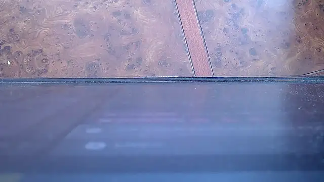 SusanLeroy online show from November 2025 03:45:01 PM