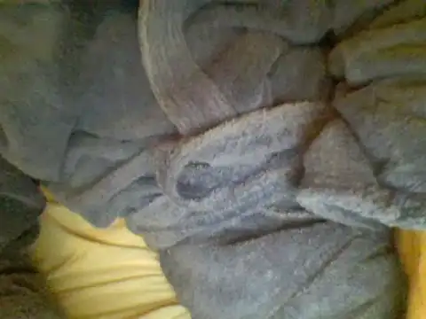 Ariete80s online show from February 2025 06:56:02 PM