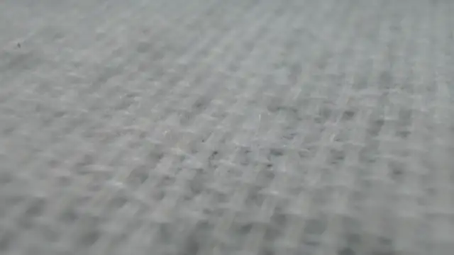 Snapshot of _Zooee chatting on January 2025 04:22:01 PM Zooee online show from January 2025 04:22:01 PM