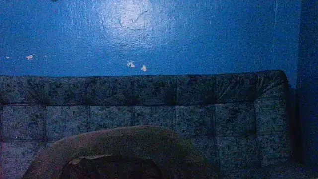 Marilyn xxxx online show from December 2024 12:04:01 AM