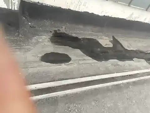 Gururonny07 online show from January 2025 05:29:02 AM