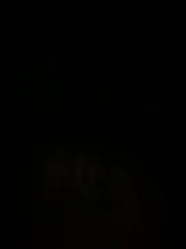 Snapshot of islandvybee55 chatting on December 2024 07:02:02 AM islandvybee55 online show from December 2024 07:02:02 AM